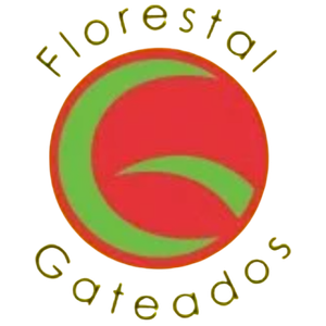 Cliente 15